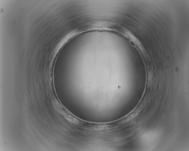 X0000067491435200604071153