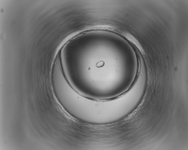 X0000067491436200604071153