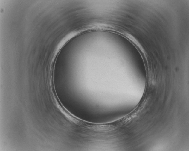 X0000067491437200604071153