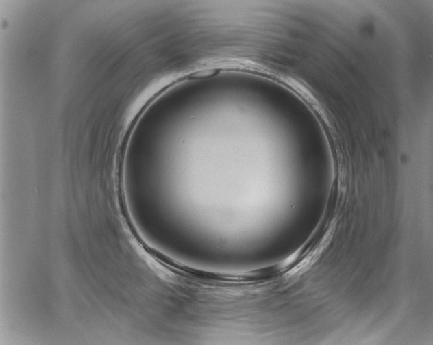 X0000067491438200604071153