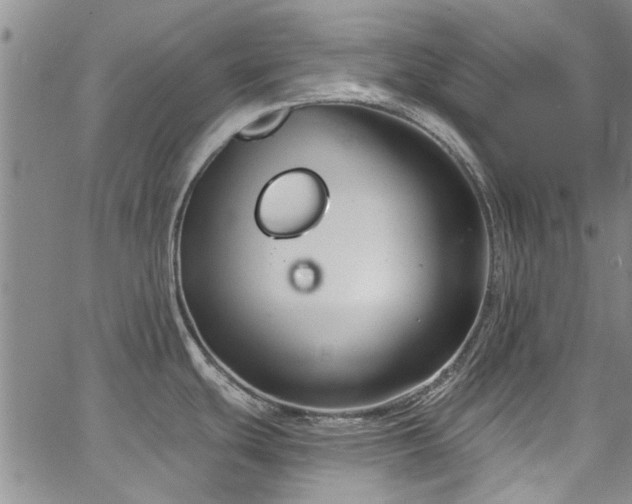 X0000067491439200604071153