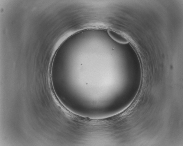 X0000067491440200604071153