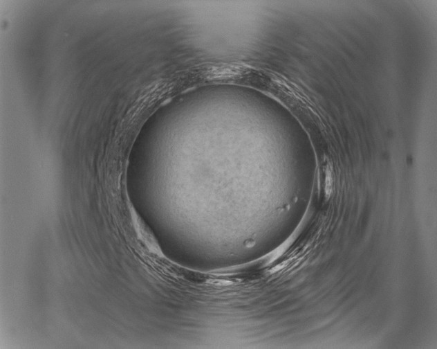 X0000067491441200604071152