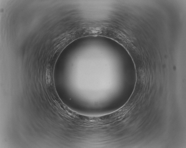 X0000067491442200604071152