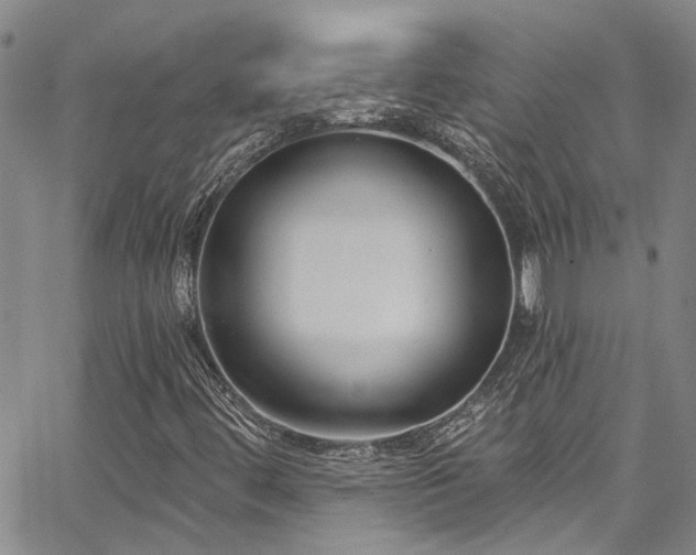 X0000067491444200604071152