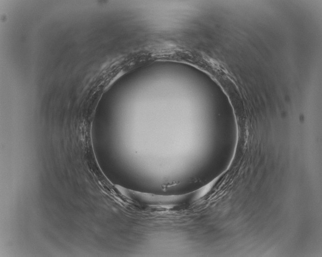 X0000067491445200604071152