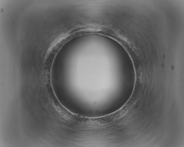 X0000067491448200604071152