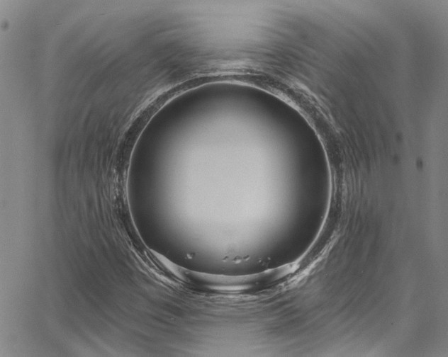 X0000067491449200604071152