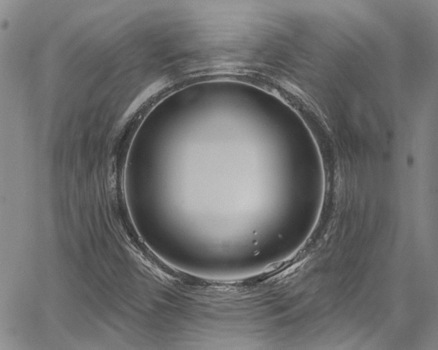 X0000067491450200604071152