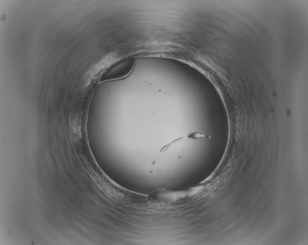 X0000067491451200604071152