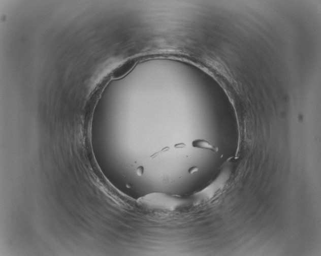 X0000067491452200604071152