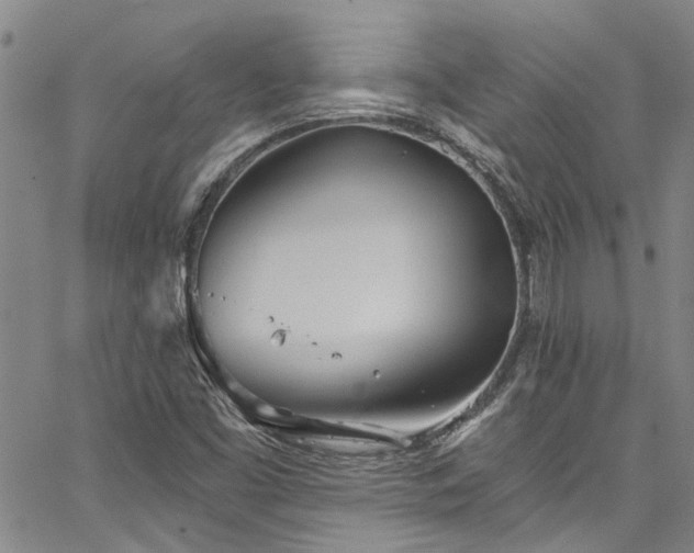 X0000067491453200604071152