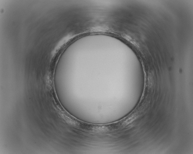 X0000067491454200604071152