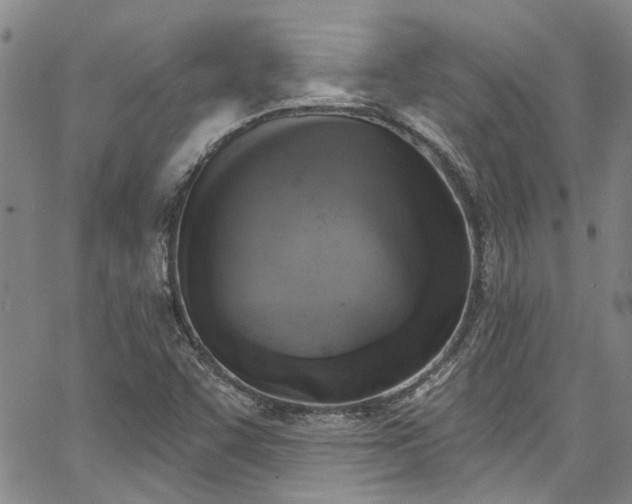 X0000067491455200604071152