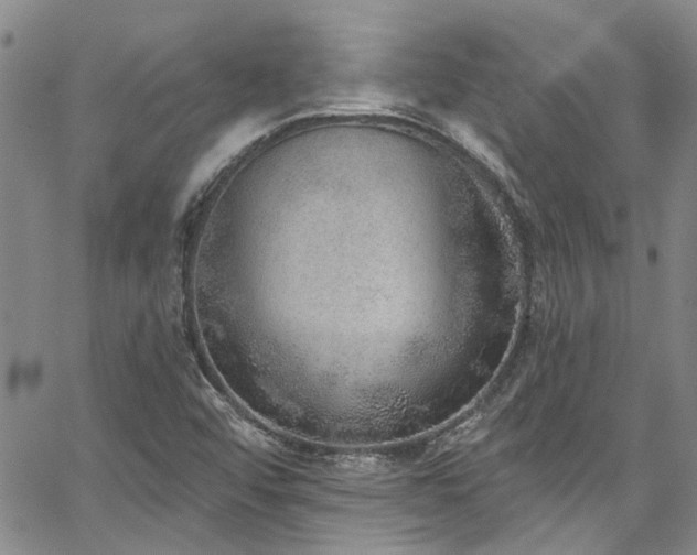 X0000067491456200604071152