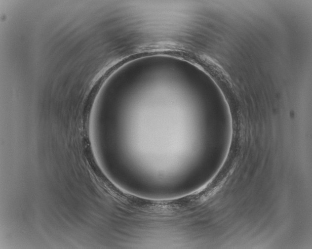 X0000067491457200604071152