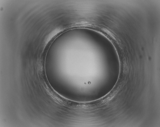 X0000067491458200604071152