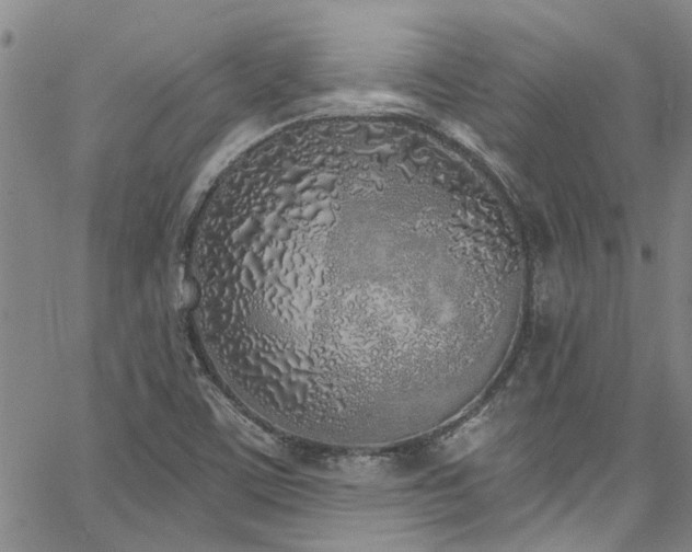 X0000067491459200604071152