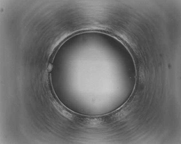 X0000067491460200604071152