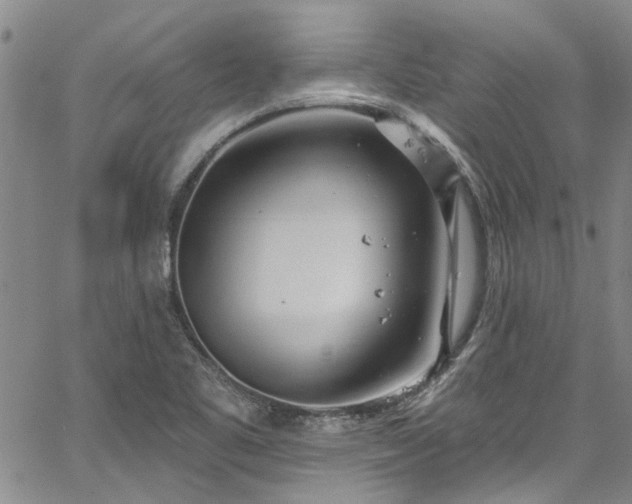 X0000067491461200604071152