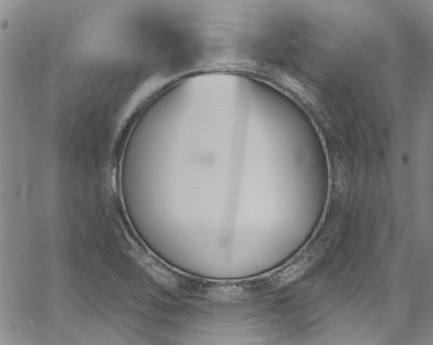 X0000067491462200604071152