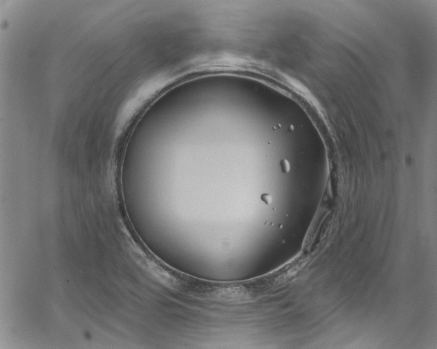 X0000067491464200604071152