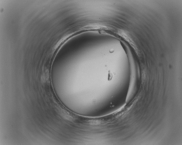 X0000067491465200604071152