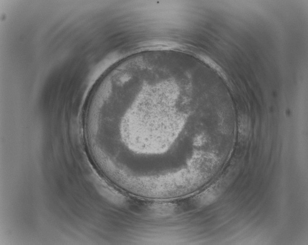 X0000067491466200604071152