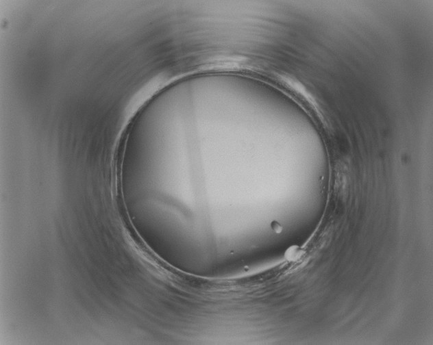 X0000067491467200604071152