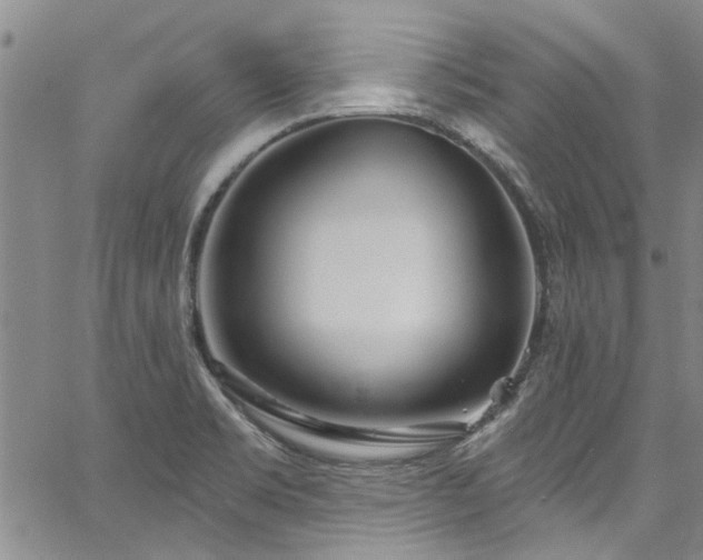 X0000067491469200604071151