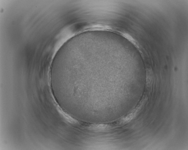 X0000067491474200604071151