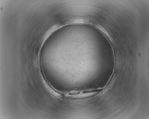 X0000067491475200604071151