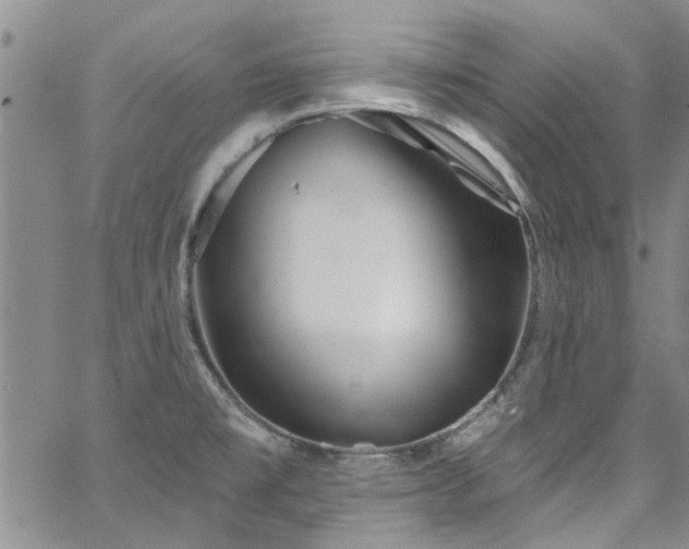 X0000067491477200604071151