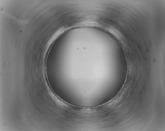 X0000067491478200604071151