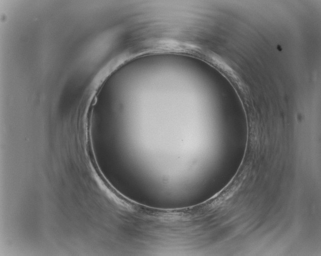 X0000067491479200604071151