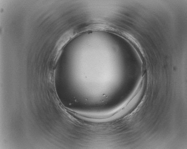 X0000067491481200604071151