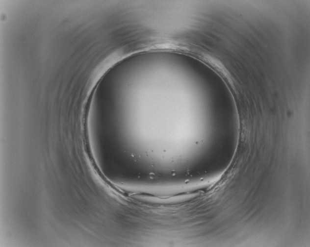 X0000067491483200604071151