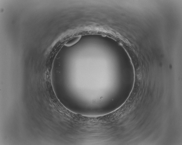 X0000067491495200604071151