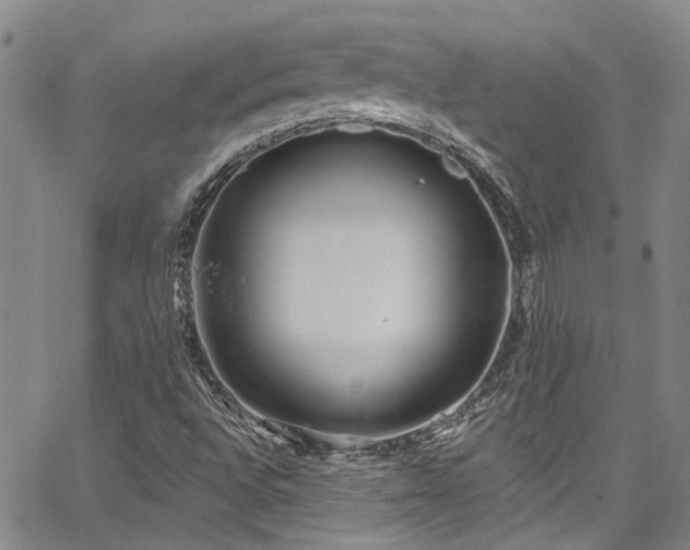 X0000067491496200604071151