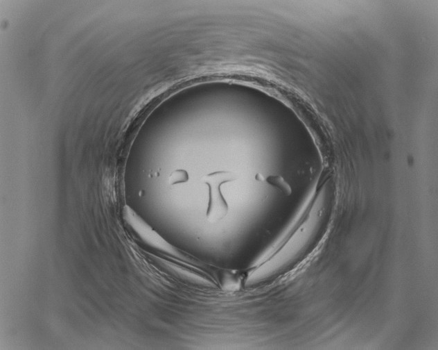 X0000067491497200604071151