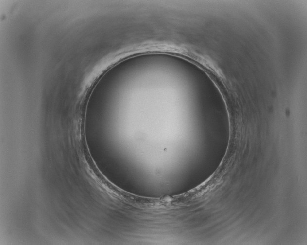 X0000067491504200604071151