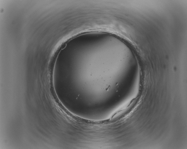 X0000067491506200604071151