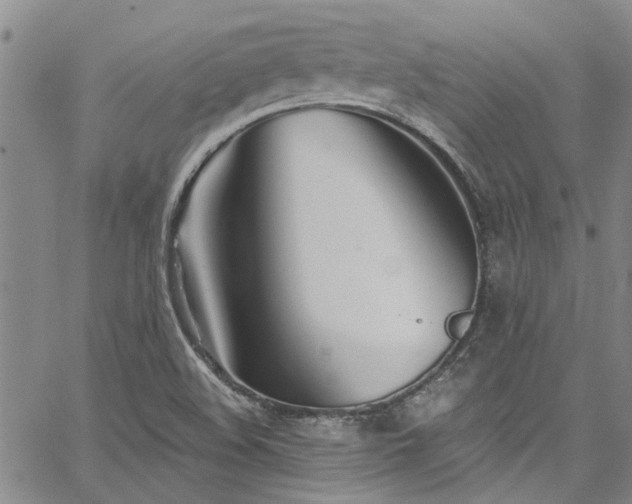 X0000067491508200604071151