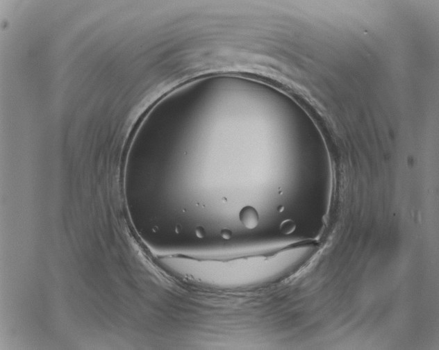 X0000067491513200604071151