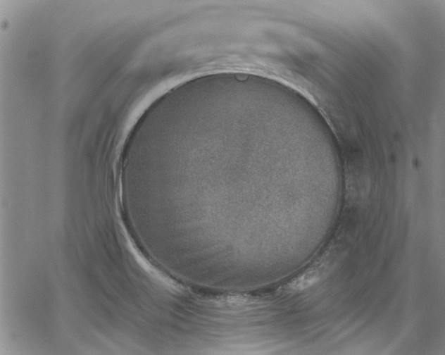 X0000067491515200604071151