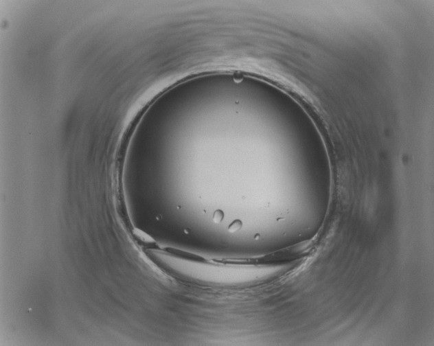 X0000067491517200604071151