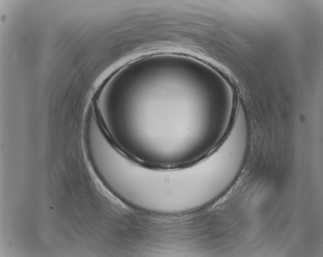 X0000067491518200604071151