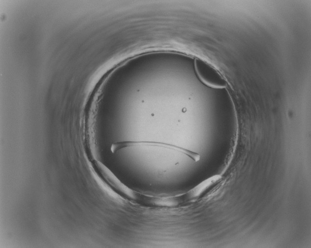 X0000067491519200604071151