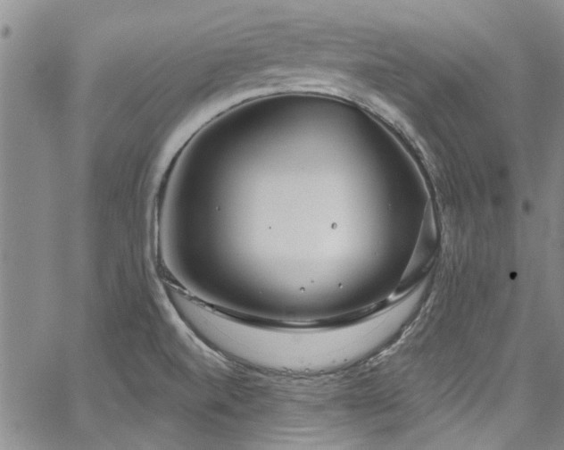 X0000067491520200604071151