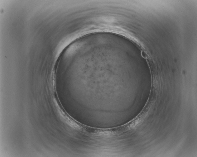 X0000067491522200604071151